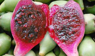 仙人掌的果实叫什么