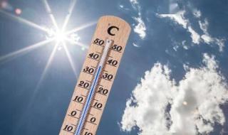 中伏是几月几号2020