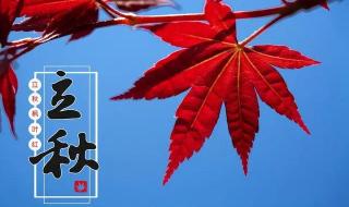 中伏是几月几号2020