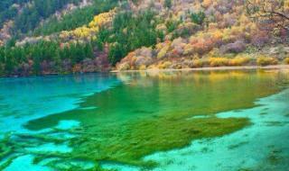 四川九寨沟旅游攻略