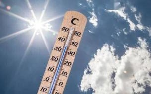 中伏是几月几日2020年 中伏是几月几号2020